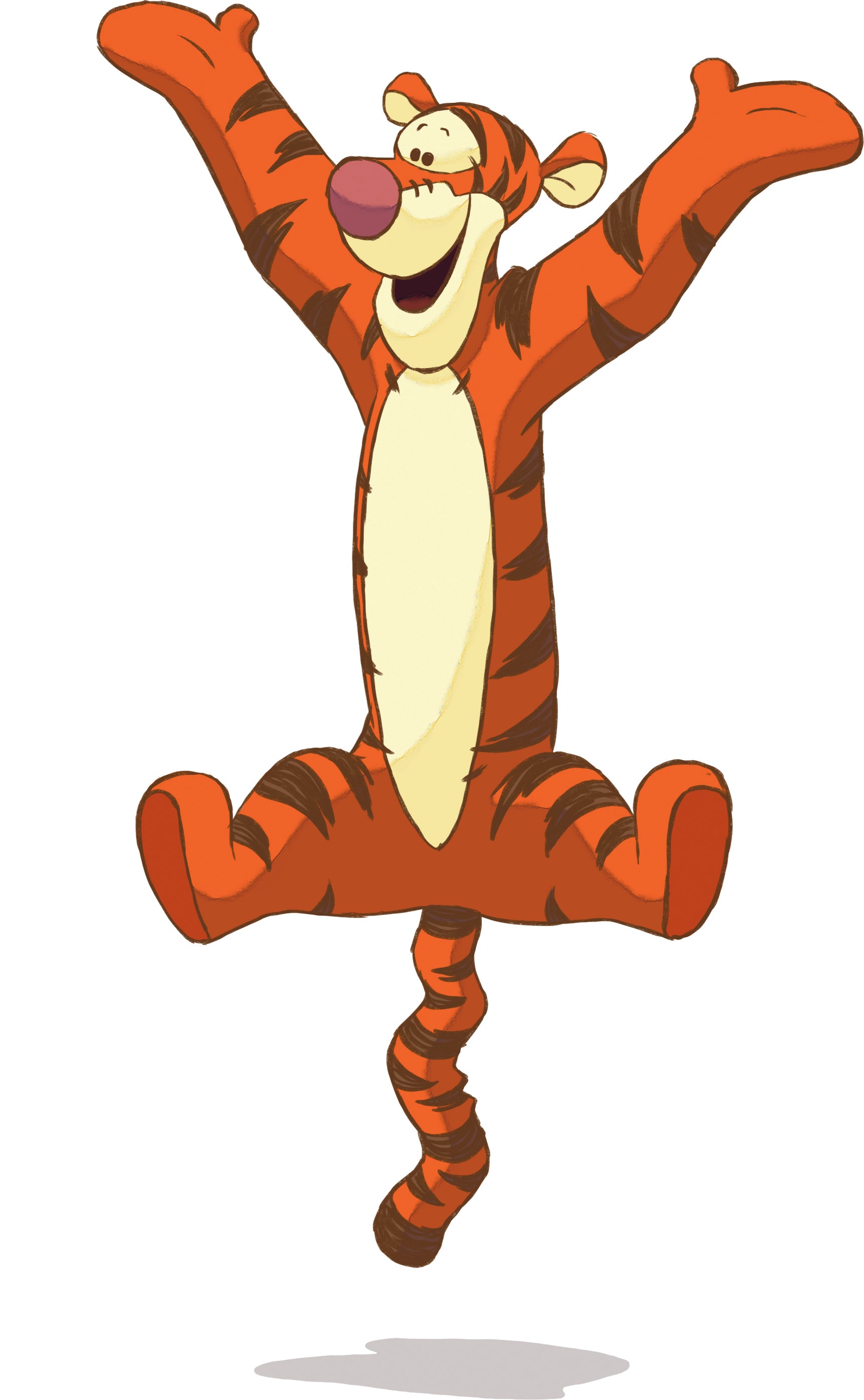 Tigger Winnie The Pooh 3D Wall Sticker Decal Home Decor Wall Art WTP03