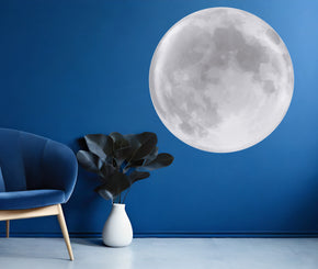 Full Moon Wall Decal Sticker Space Room Art Mural OR35