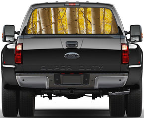 Yellow Birch Trees Car Rear Window See-Through Net Decal