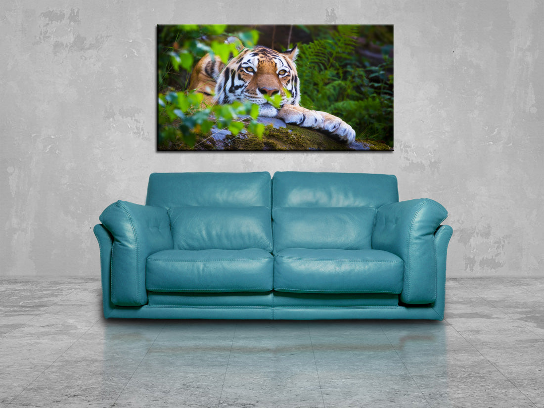 Tiger Wild Safari Animals Canvas Print Giclee