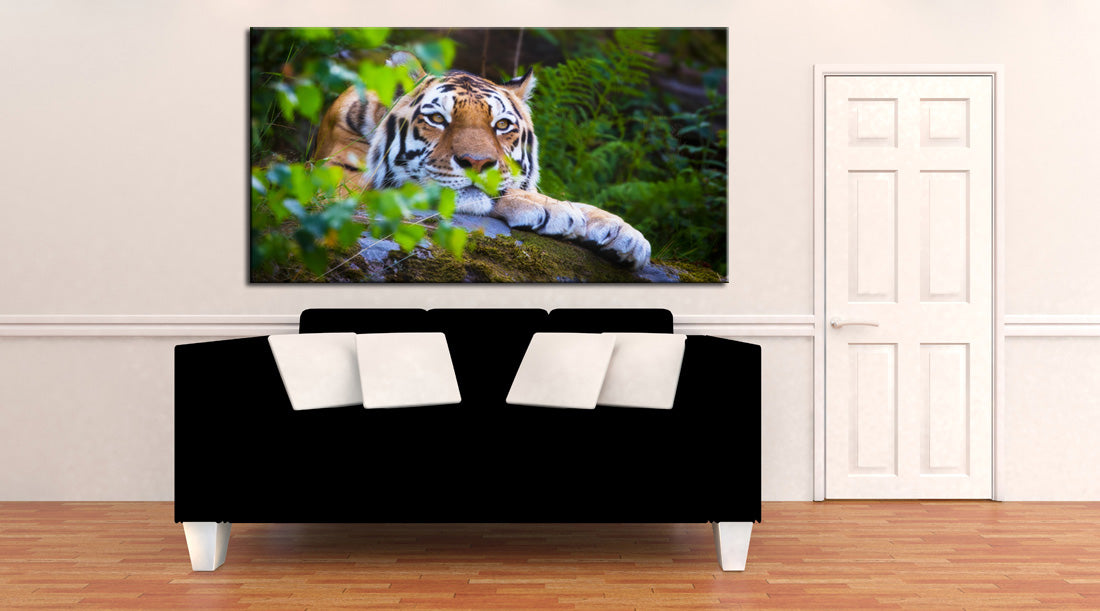 Tiger Wild Safari Animals Canvas Print Giclee