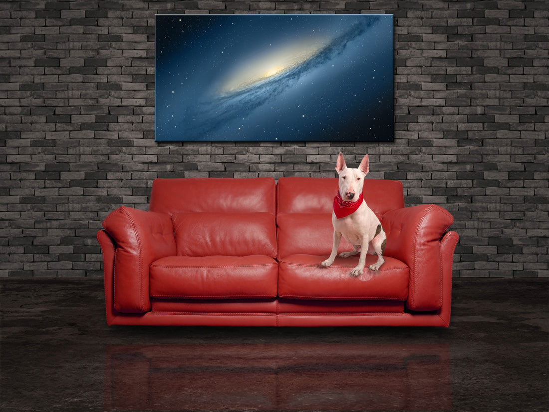 Space Interstellar Galaxy Canvas Print Giclee