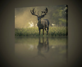 Buck Canvas Print Giclee