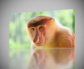 Giclee d’impression de toile de singe de long nez