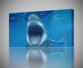 White Shark Canvas Print Giclee