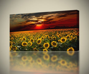 Champ de tournesol Coucher de soleil Impression sur toile