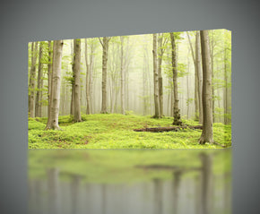 Giclee d’impression de toile de forêt verte