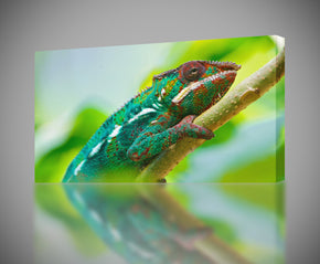 Caméléon Canvas Print Giclee