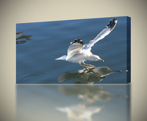 Giclée sur toile Seagull