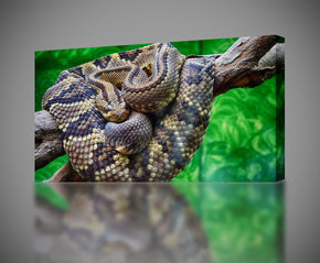Rattlesnake Snake Canvas Print Giclee