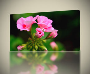 Giclée sur toile Fleurs rose fleur