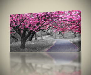 Pink Blossom Trees Canvas Print Giclee