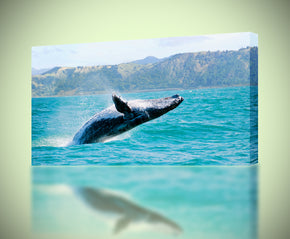 Giclee d’impression de toile d’océan de baleine à bosse