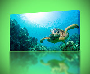 Sea Turtle Canvas Print Giclee