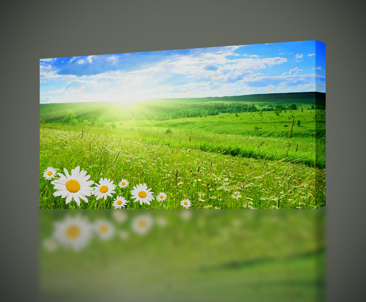 Flower Hill Sunrise Impression sur toile