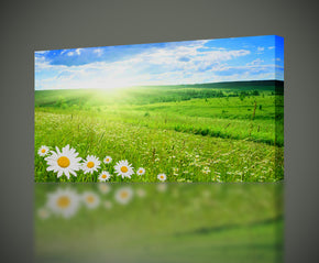 Flower Hill Sunrise Impression sur toile