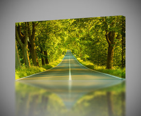 Trees Avenue Canvas Print Giclee