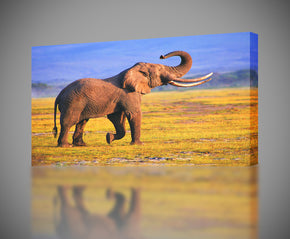 Giclee d’impression de toile d’éléphant