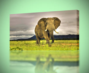 Giclee d’impression de toile d’éléphant
