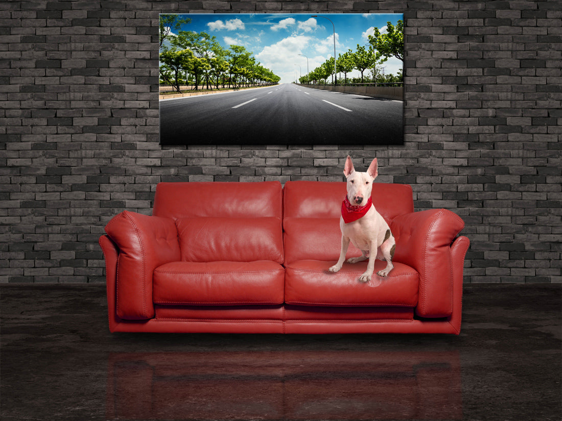 Open Road View Canvas Print Giclee
