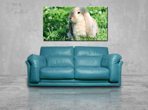 Bunny Rabbit Canvas Print Giclee