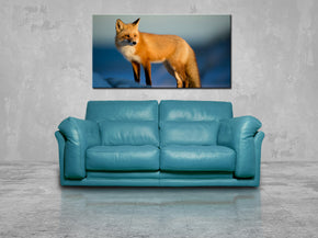 Fox Canvas Print Giclee
