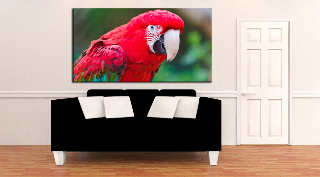 Red Parrot Canvas Print Giclee