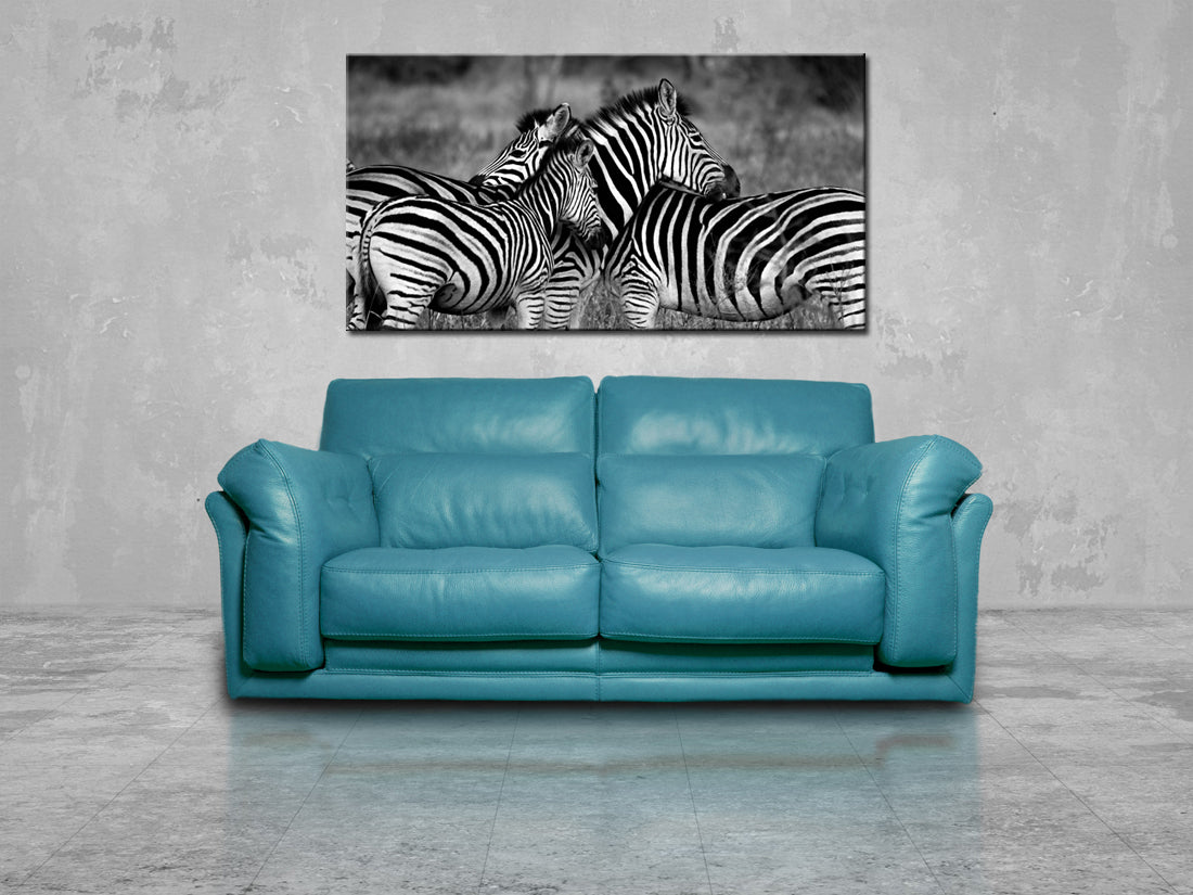 Zèbres Impression Giclée sur Toile