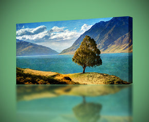 Tree By The Lake Canvas Print Giclee