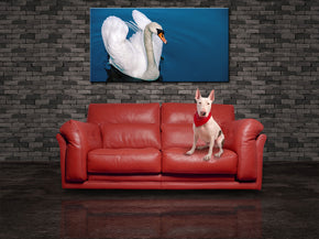 Swan Canvas Print Giclee