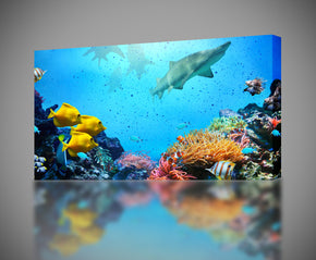 Tropical Fish Shark Reef Canvas Print Giclee