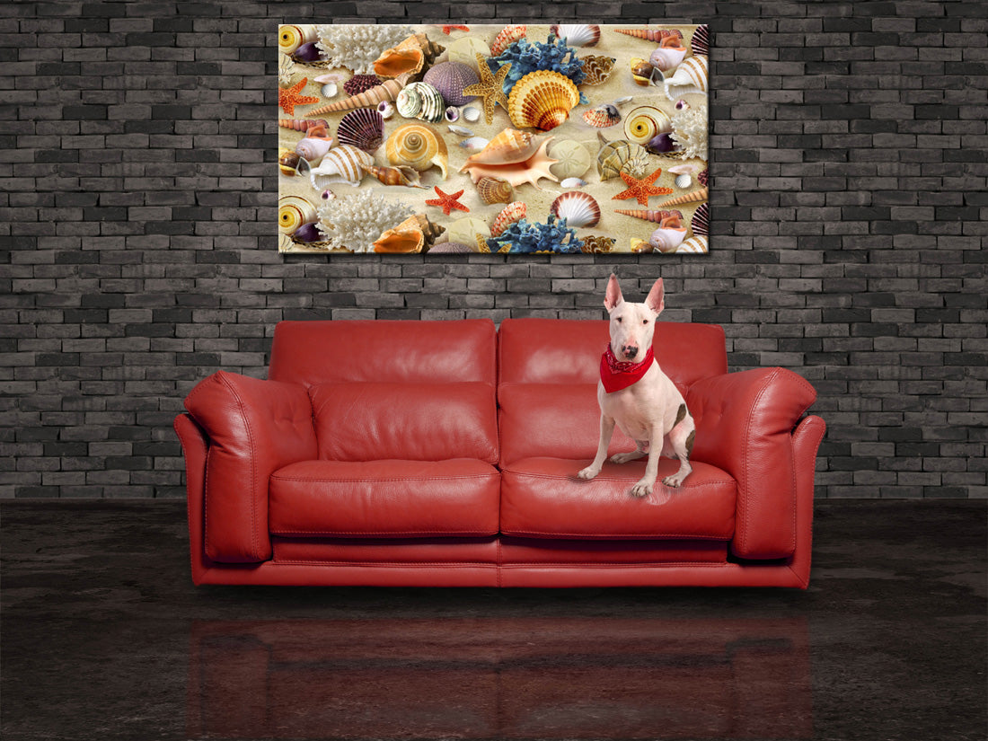 Seashells On The Beach Canvas Print Giclee