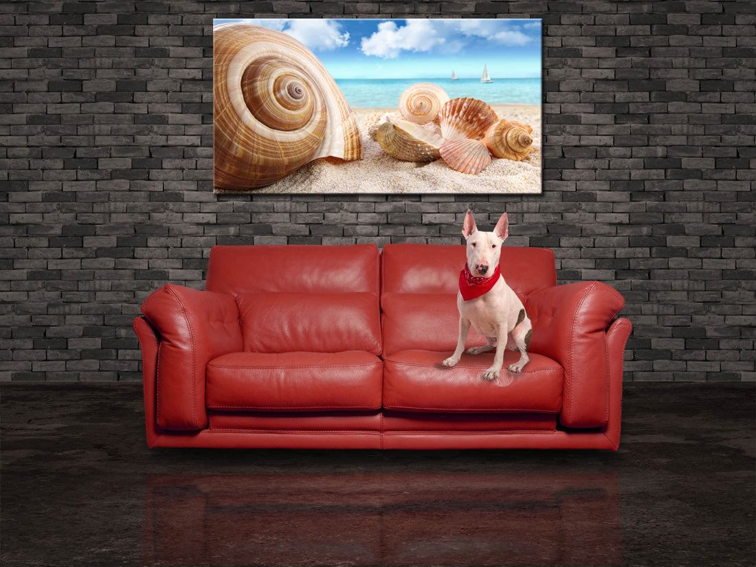 Seashells On The Beach Canvas Print Giclee