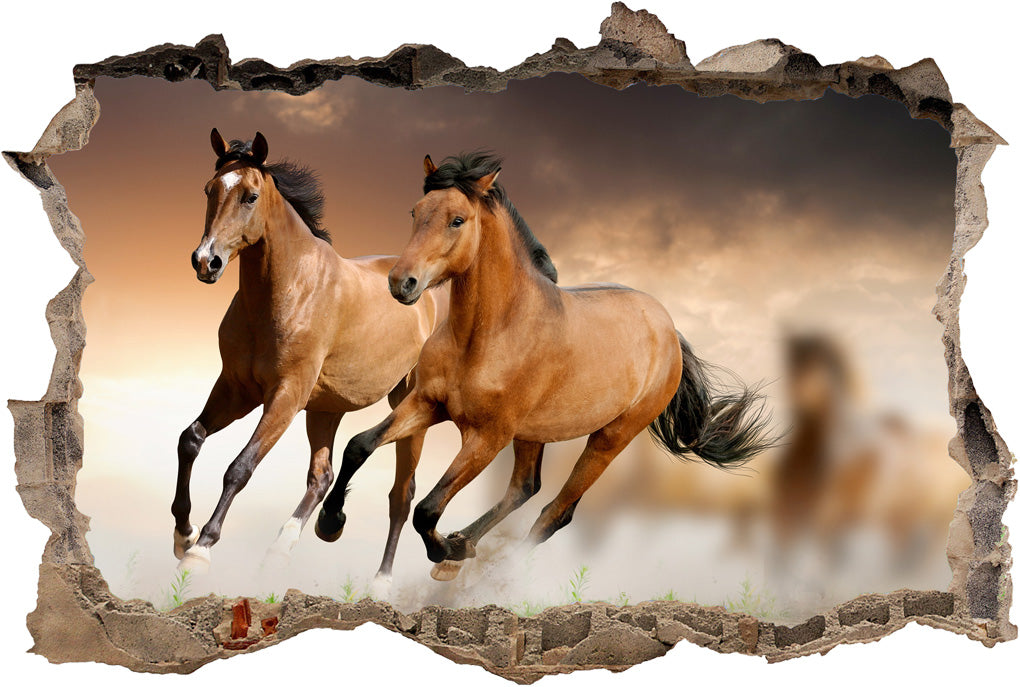Horses Riding 3D Smashed Broken Decal Wall Sticker H157