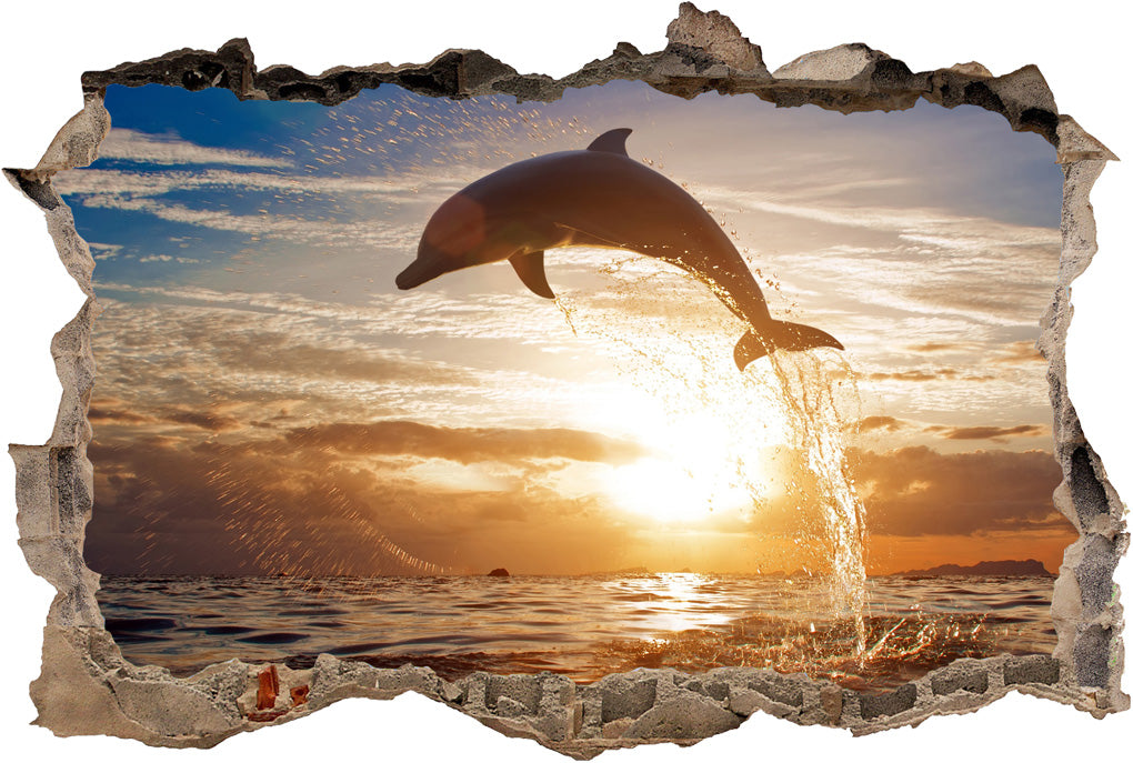 Dolphin Sunset 3D Smashed Broken Decal Wall Sticker H187