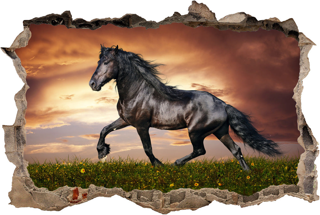 Noble Black Horse 3D Smashed Broken Decal Wall Sticker H199