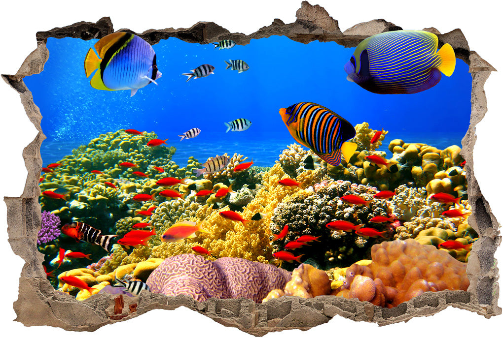 Underwater Tropical Coral Reef 3D Smashed Broken Decal Wall Sticker