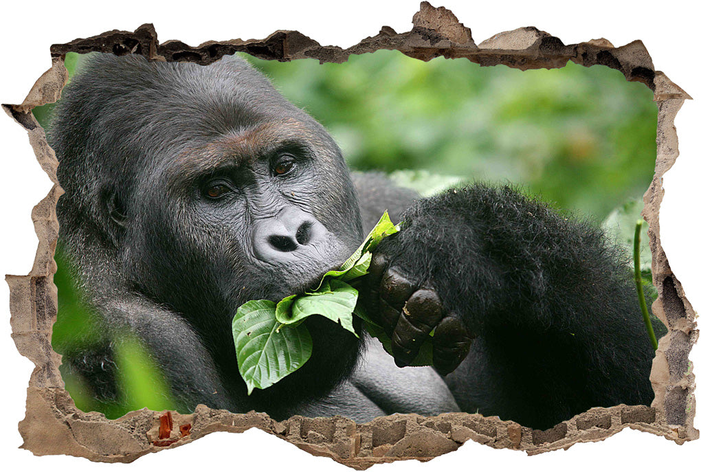 Gorilla Monkey 3D Smashed Broken Decal Wall Sticker