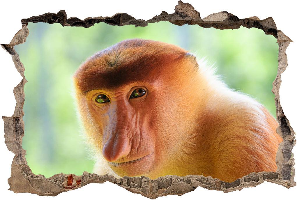 Long Nose Monkey 3D Smashed Broken Decal Wall Sticker
