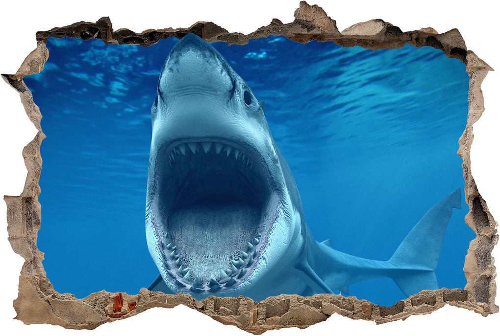 Shark Attack 3D Smashed Broken Decal Wall Sticker
