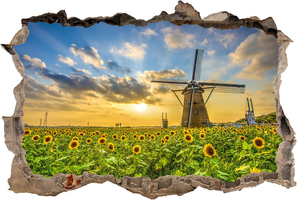 Sunflower Field Sunset 3D Smashed Broken Decal Wall Sticker
