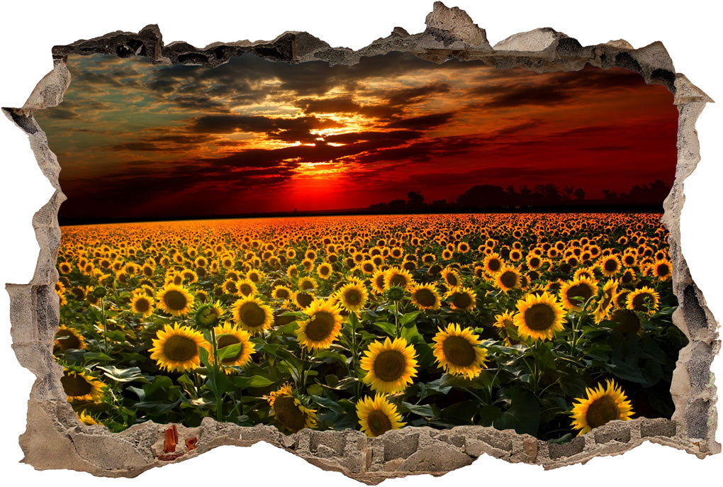 Sunflower Field Sunset 3D Smashed Broken Decal Wall Sticker