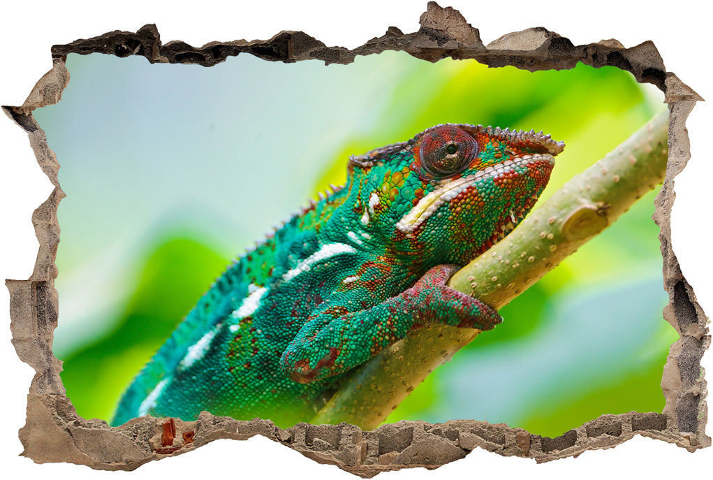 Chameleon 3D Smashed Broken Decal Wall Sticker
