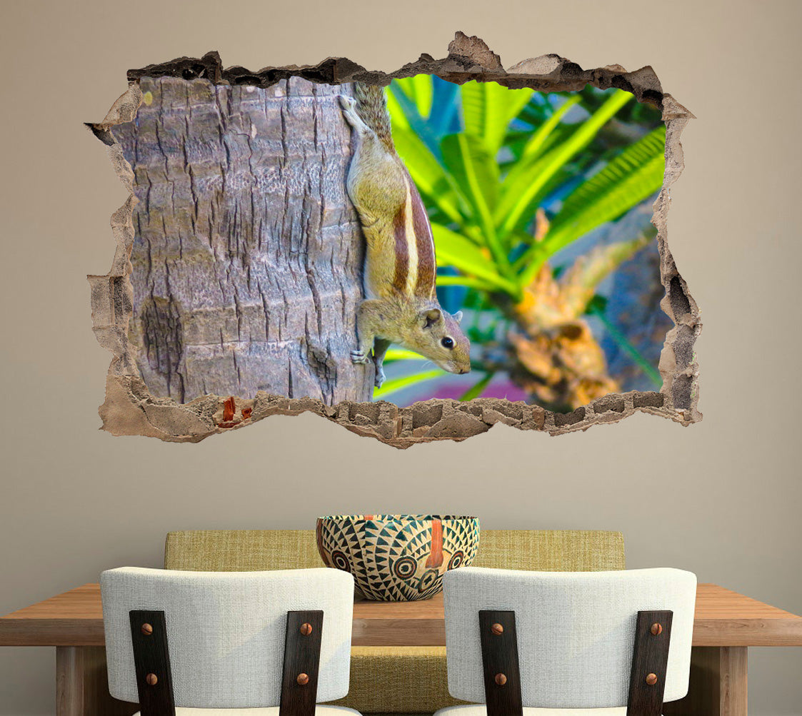 Squirrel 3D Smashed Broken Decal Wall Sticker