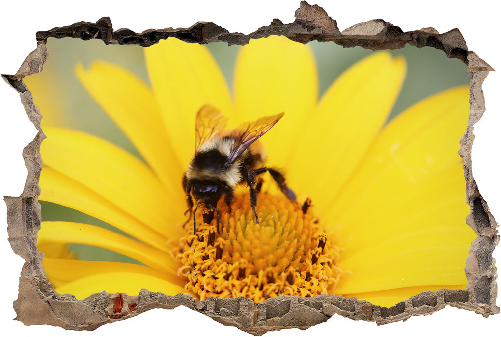 Bee Flower 3D Smashed Broken Decal Wall Sticker