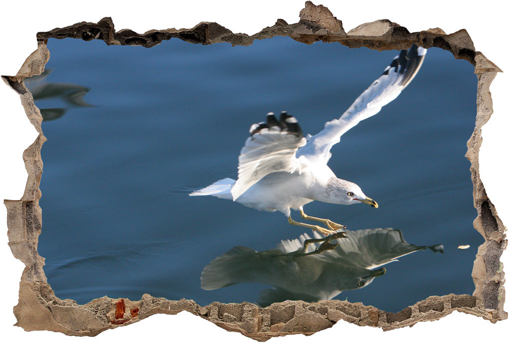 Seagul 3D Smashed Broken Decal Wall Sticker