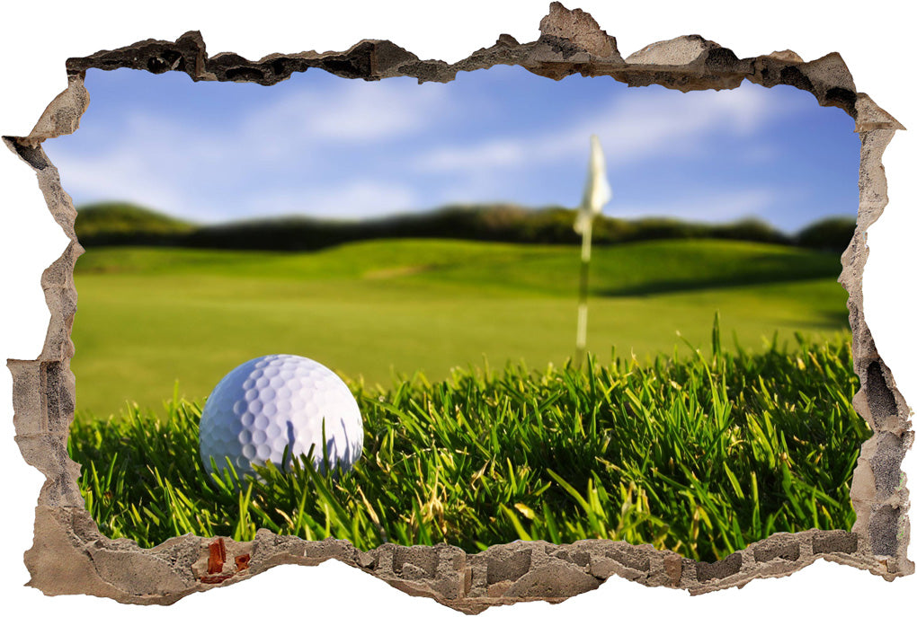 Golf Course 3D Smashed Broken Decal Wall Sticker
