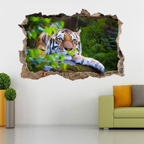 Tiger 3D Smashed Broken Decal Wall Sticker J1170