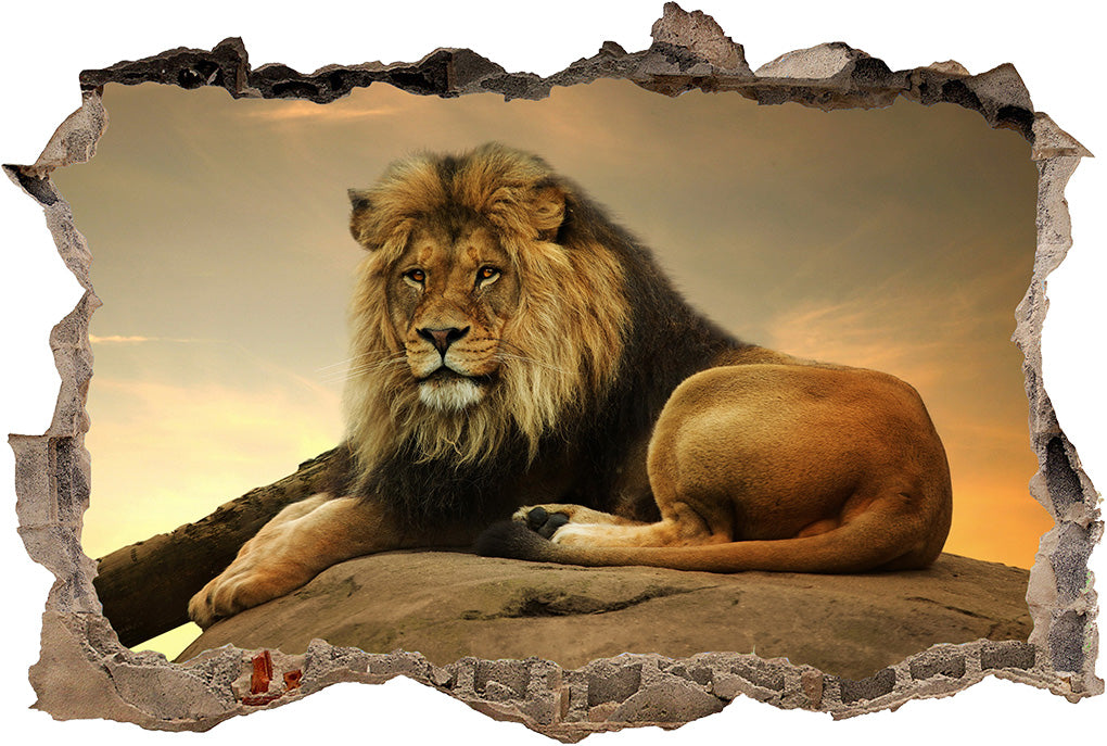 Lion Safari Animals 3D Smashed Broken Decal Wall Sticker J1273