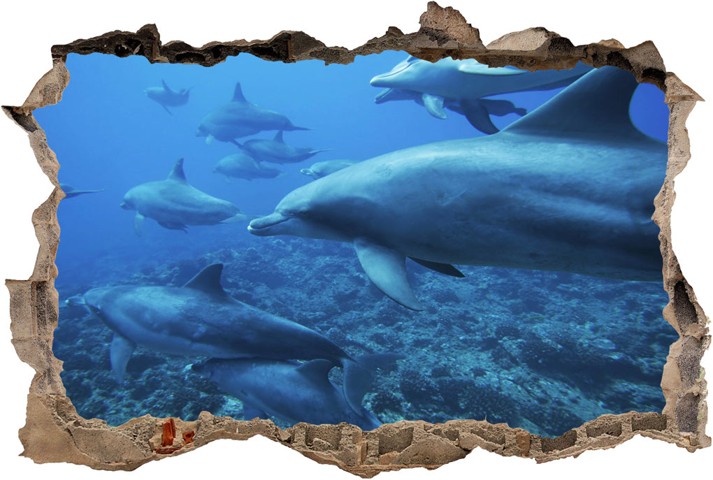 Dolphins Ocean Life 3D Smashed Broken Decal Wall Sticker J383